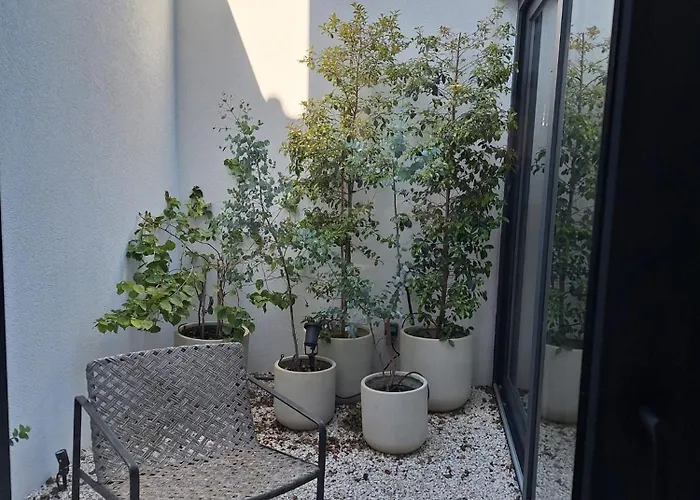 Apartment Luxury In The Historic Centre Aveiro
